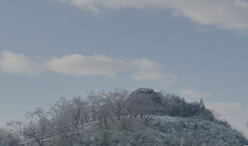 奈良の冬。雪をまとった山と冬空。