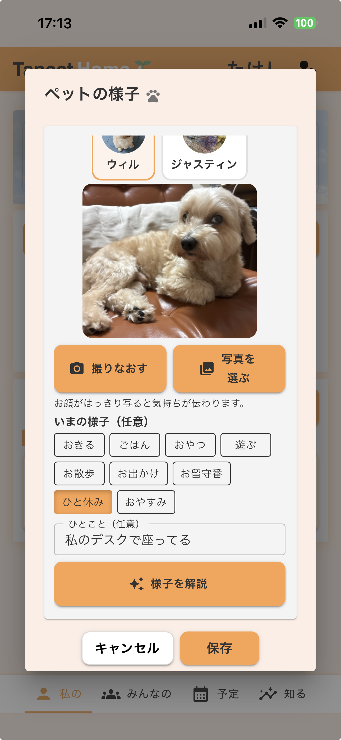 「ペットの様子」で写真を撮って解説する画面